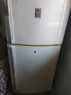 Dawlance Monogram Fridge 13 CFT Chilled Working