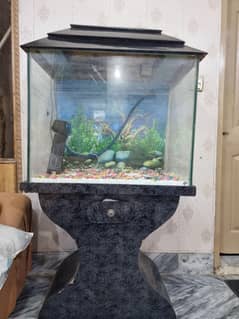 Fish Aquarium