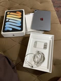 ipad mini 7