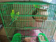 Breeding