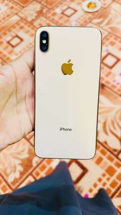 Xsmax 256 GB