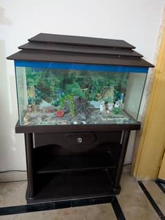 Aquarium