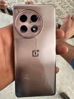 51310