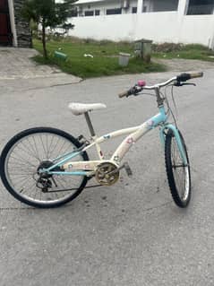 Bicycle argent sale