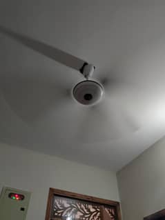 want to sale fan