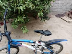 bicycle