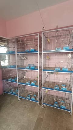 Cages