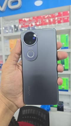 vivo
