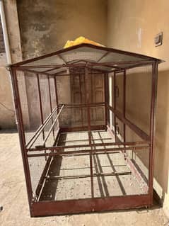 Cage For Birds