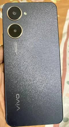 vivo