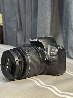 Canon 200d + canon 50mm prime lens