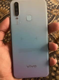vivo