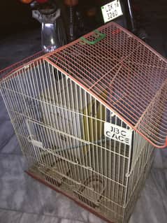 Parrot cage