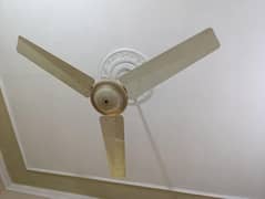 Ceiling Fan