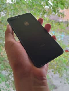 7plus