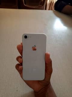 iPhone 8