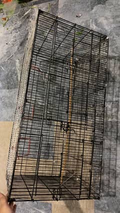 Birds cage 4x4