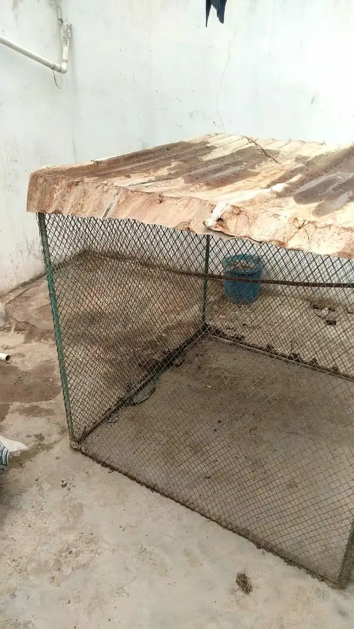 cage for sale. — photo 6