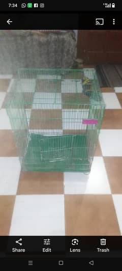 bird cages