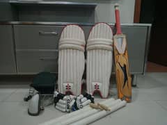 Cricket kit with wickets