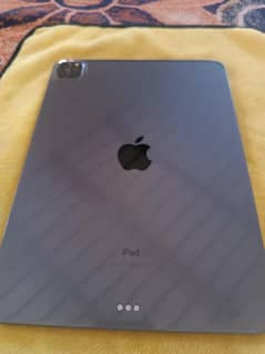 IPAD PRO 256GB 10 BY 10