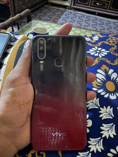 vivo