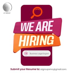 Business Legal Expert / Lawyer