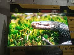 65  Inch Samsung smart Led Tv 3 year warranty O3O2O422344
