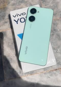 vivo