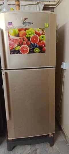 fridge