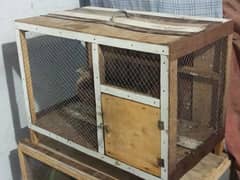 Chicken with hen pair with wooden cage