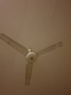 Ceiling fan for sale