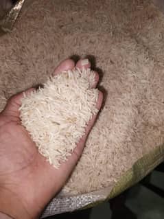 Rice