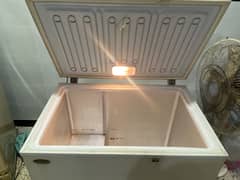 Waves Deep Freezer For Sale