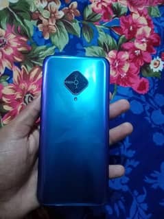 vivo