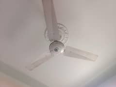 Ceiling GFC Fan
