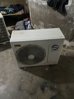 Pel