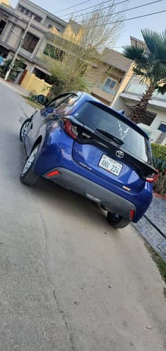 yaris