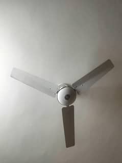 Ceiling fans