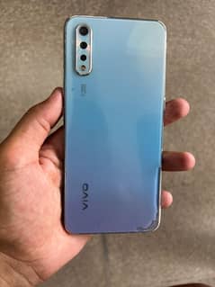 vivo