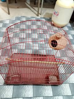 parrot cage