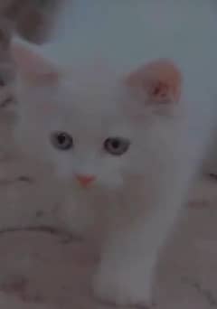 for