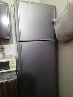 PEL Fridge neat and clean