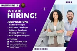 Office Staff Required For IT Office