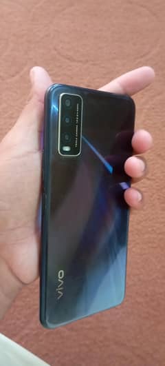 vivo