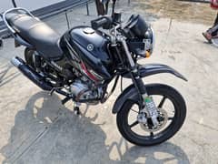 YAMAHA YBR for sale