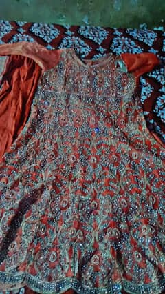 maxy 1day use