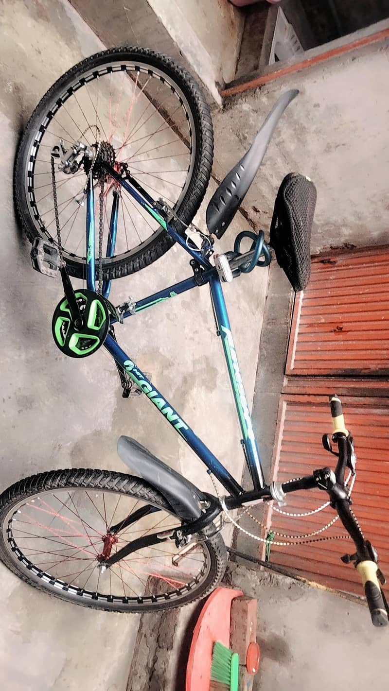 Phønix cycle 10. by 10 0