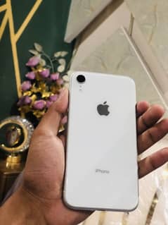 Iphone Xr PTA Approved
