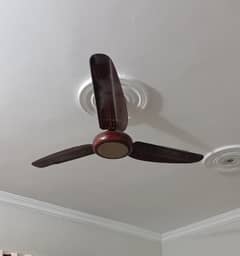 Ceiling